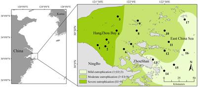 Unveiling the structuring effects of eutrophication on macrobenthic biological traits in Hangzhou Bay and adjacent waters